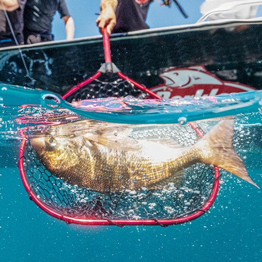 Nets, Gaffs & Tag Poles