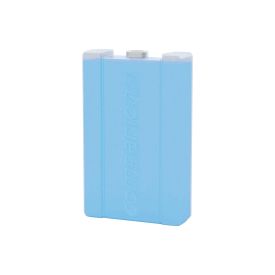 Companion Ice Brick