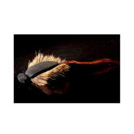 Manic Skitter Mouse Fly