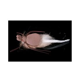 Manic Mr Hanky Fly