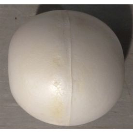 Tacspo 4in PVC Float