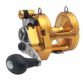 Penn Torque Lever Drag 2 Speed Overhead Reel