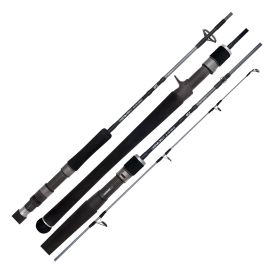Daiwa 20 TD Saltwater Rod