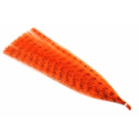 H2O Grizzly Fibre