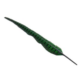 Wapsi 1 Pair Ringneck Tail Feathers
