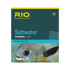 Rio Saltwater Knotless Tapered Leader - 10ft