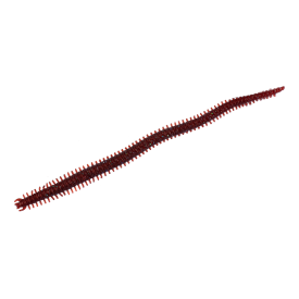Kokoda Squirmin Worm Lure