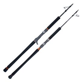 Oceans Legacy Adrenalin Jigging Rod
