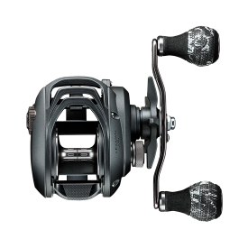 Daiwa 20 Lexa WN Baitcast Reel