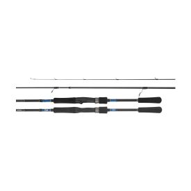 Daiwa 21 TD Tierra Rod