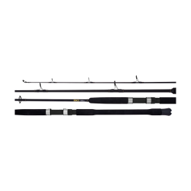 Daiwa 22 BG Bluewater Rod