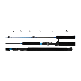 Daiwa 23 Saltist Rod