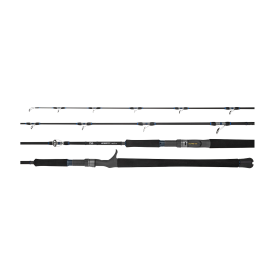 Daiwa 25 Leobritz DG Electric Rod