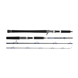Daiwa 25 Seaborg DG Electric Rod