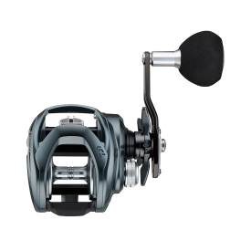 Daiwa Lexa TW Baitcast Reel