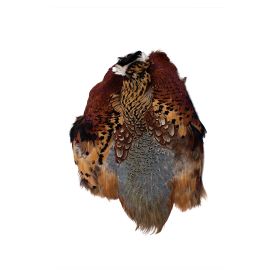Ringneck Pheasant Skin Natural Cock