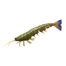 Irukandji Megaprawn Lure