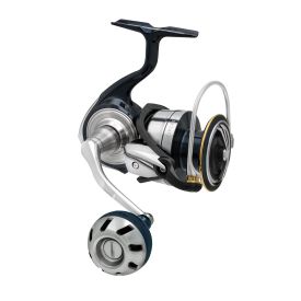 Daiwa Certate LT Ark Spin Reel