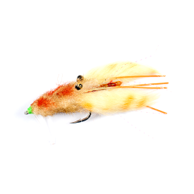 Manic Mangrove Crab Fly