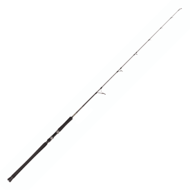 Murasame Australis Spin Rod