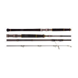 Penn Ocean Assassin Rod
