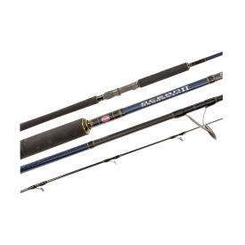 Penn Ocean Assassin II Rod