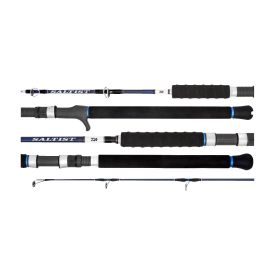 Daiwa 20 Saltist Hyper Rod