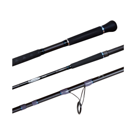 Shimano TCurve Surf Rod