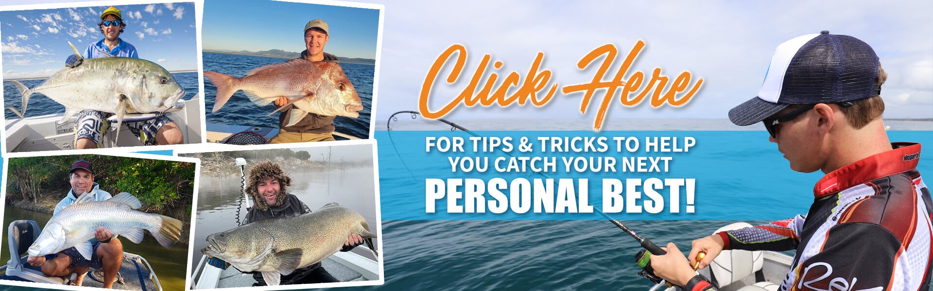 Species Tips & Tricks Species Tips & Tricks