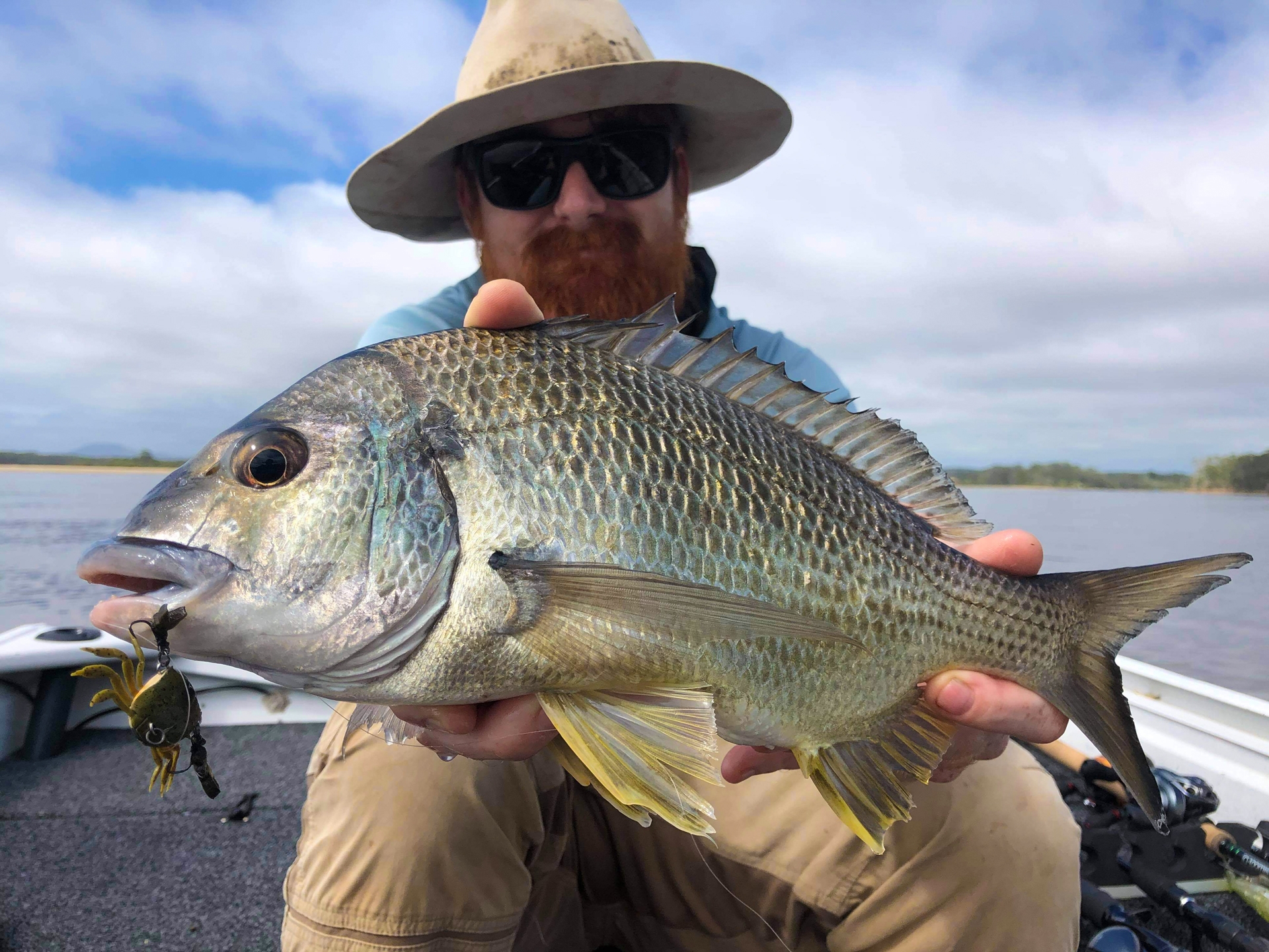Brendan's Mackerel Craig's Bream