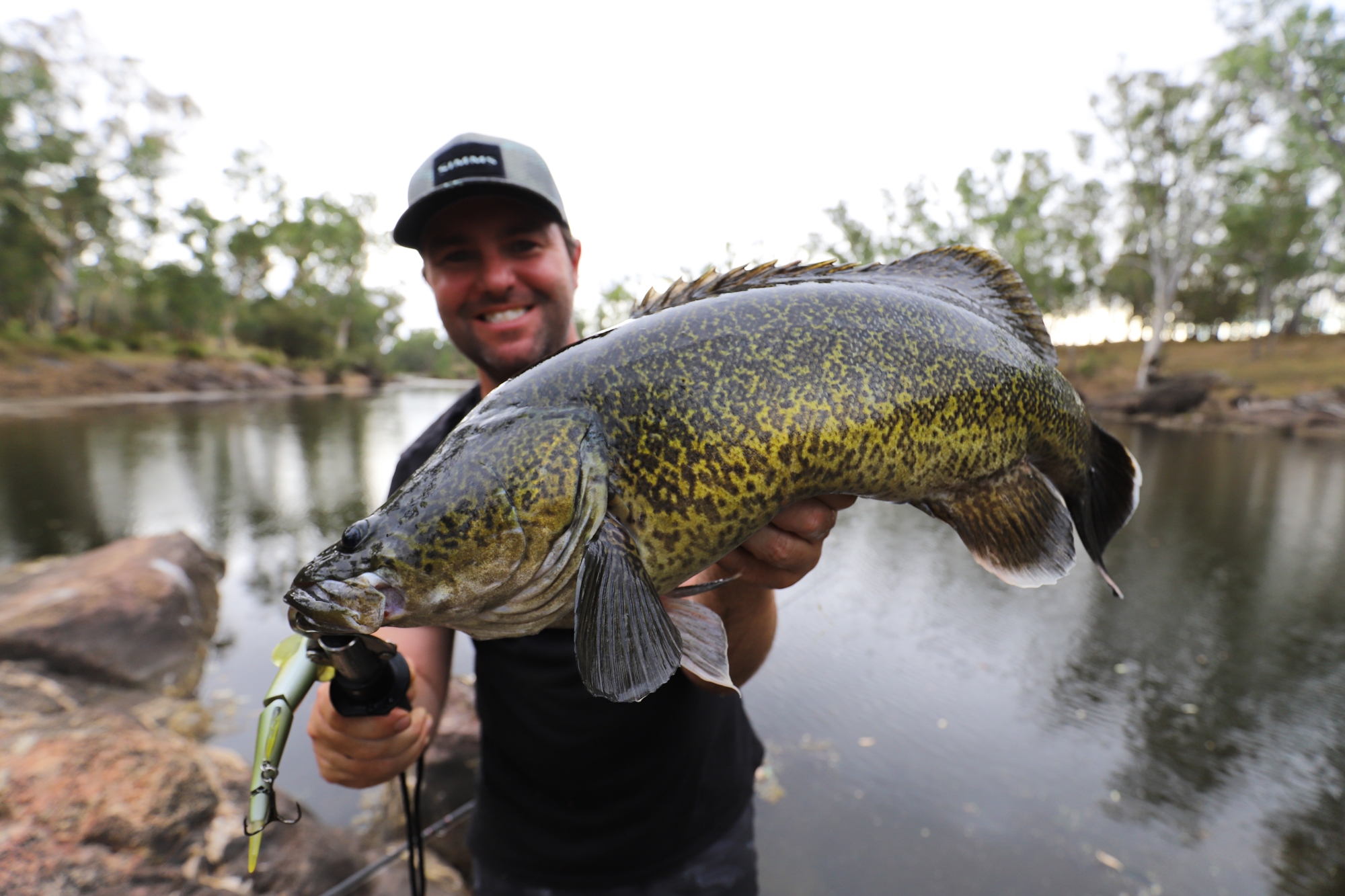 Ash's River Cod