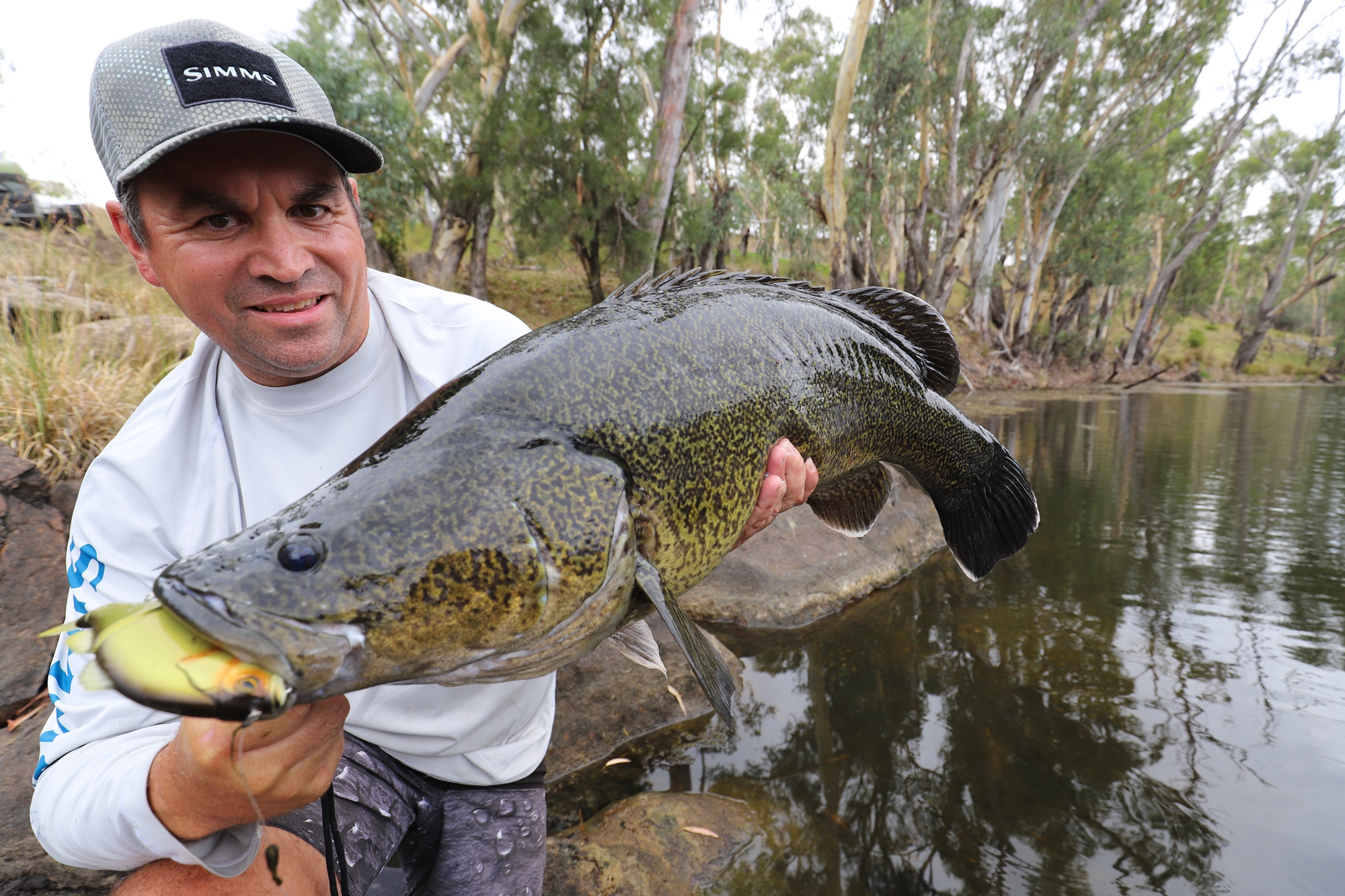Daran's River Cod