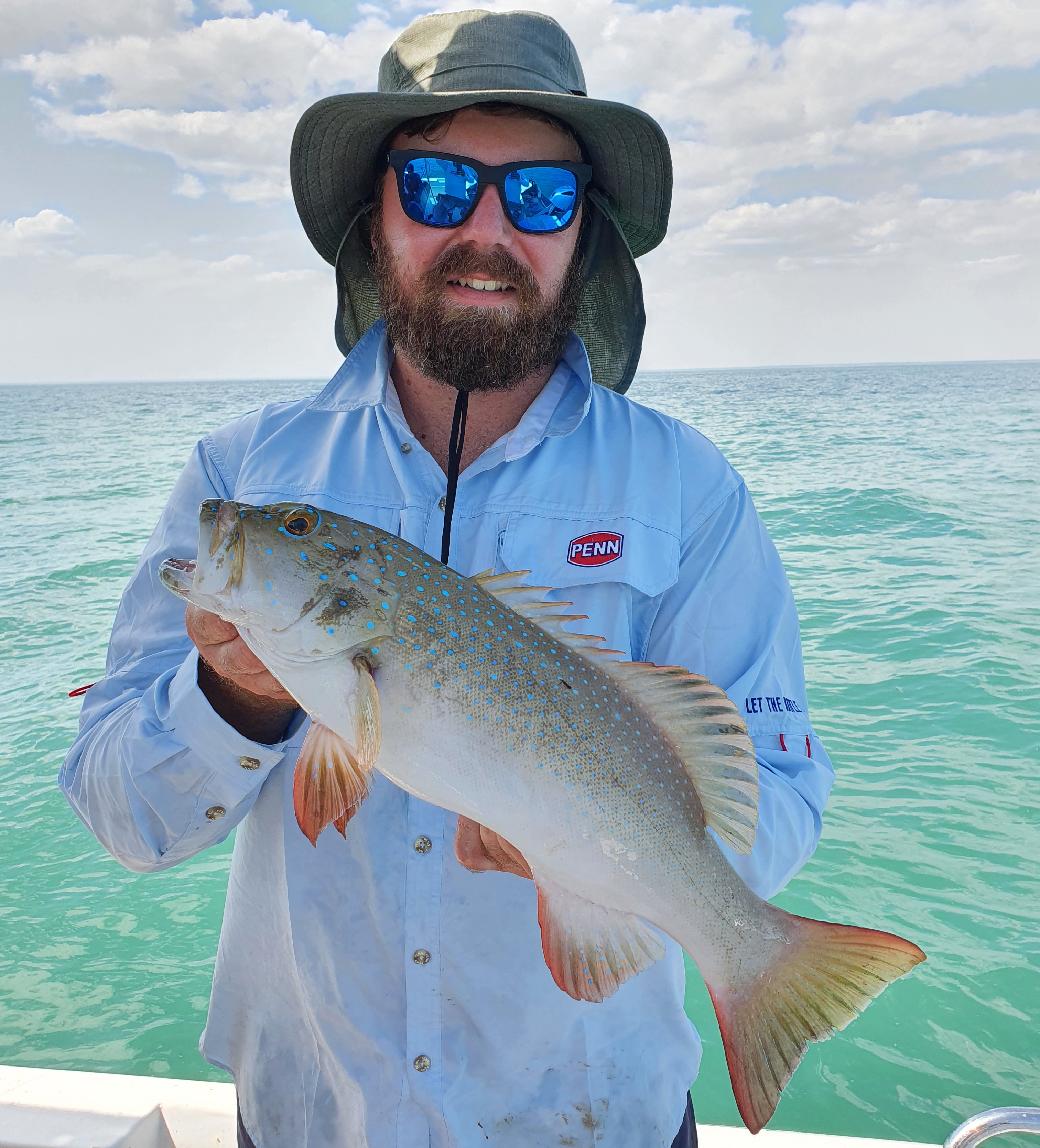 Drew's Coral Trout Drew's Coral Trout