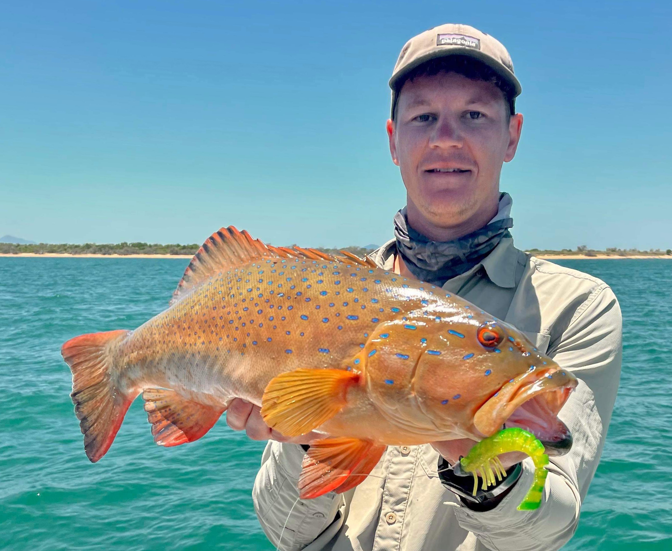 Matthew McEwan - Receiving at MoTackle & Outdoors Matthew McEwan - Receiving at MoTackle & Outdoors