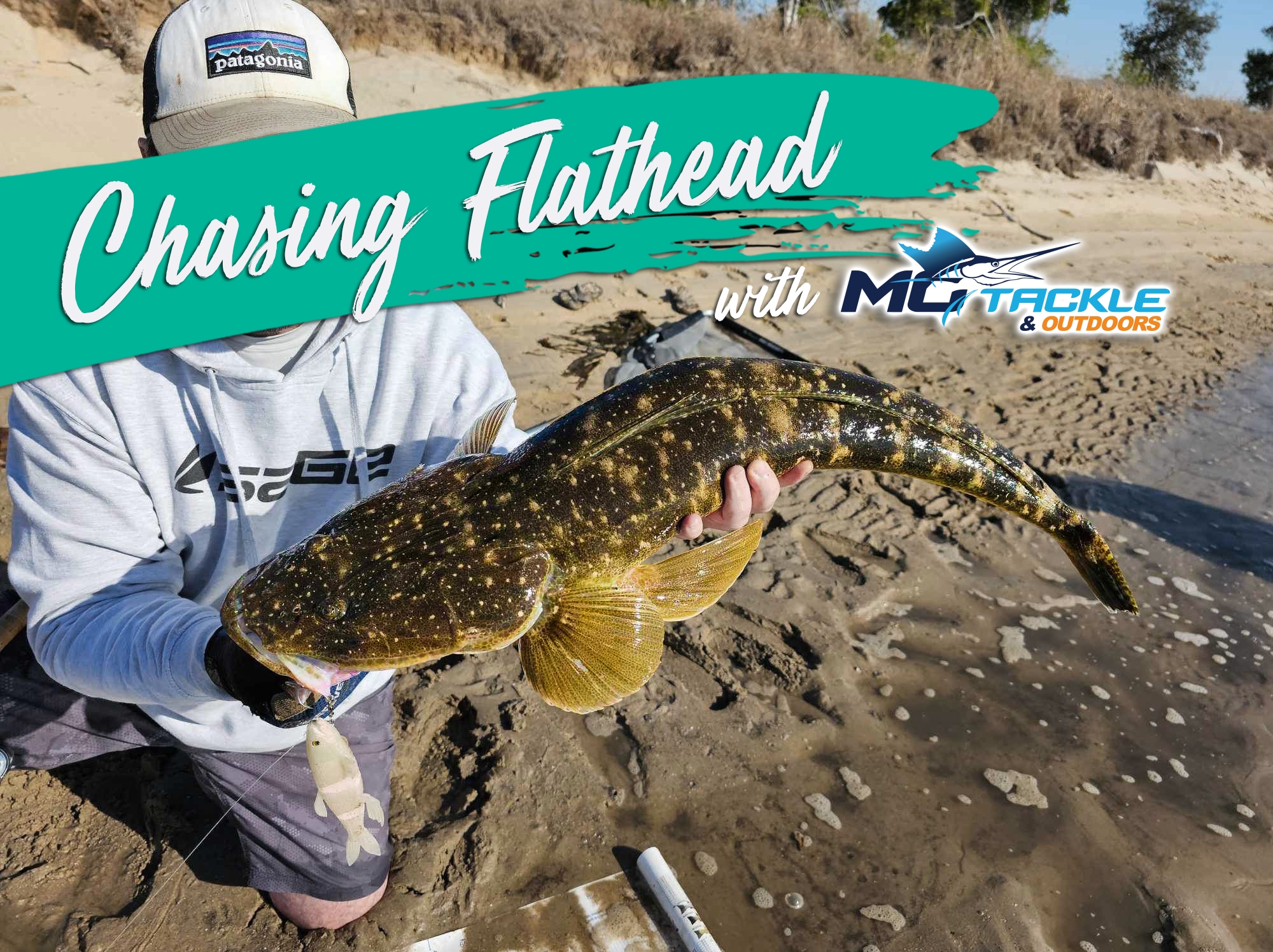 Chasing Flathead with Motackle Chasing Flathead with Motackle