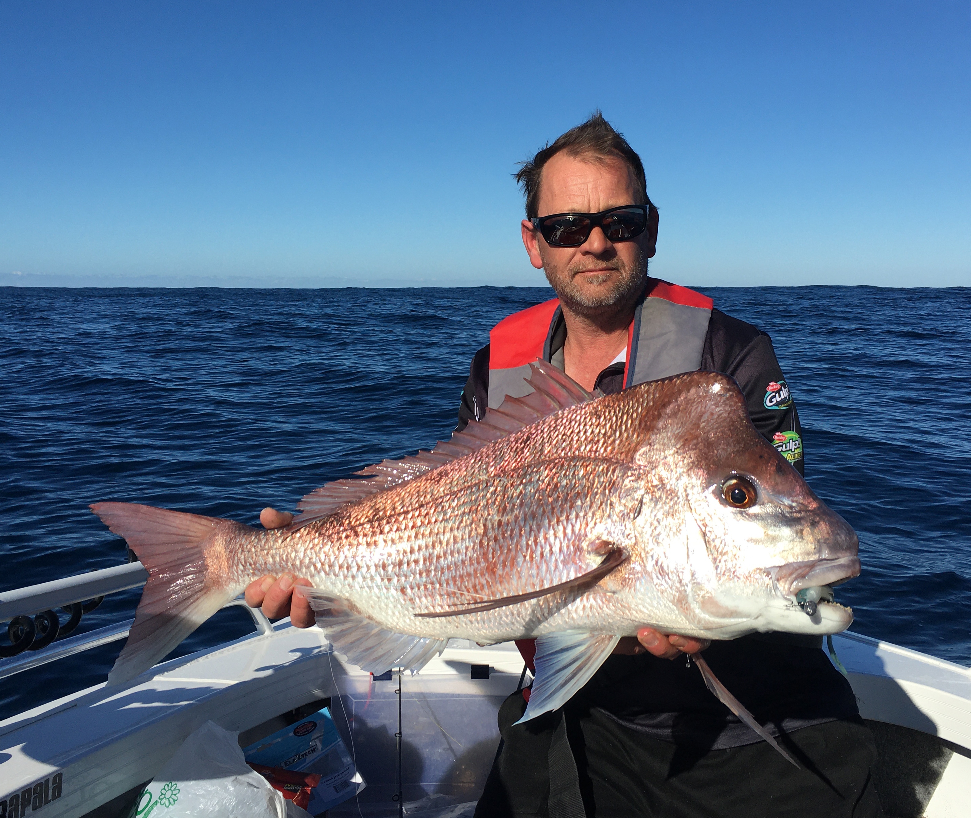 Clayton's Snapper