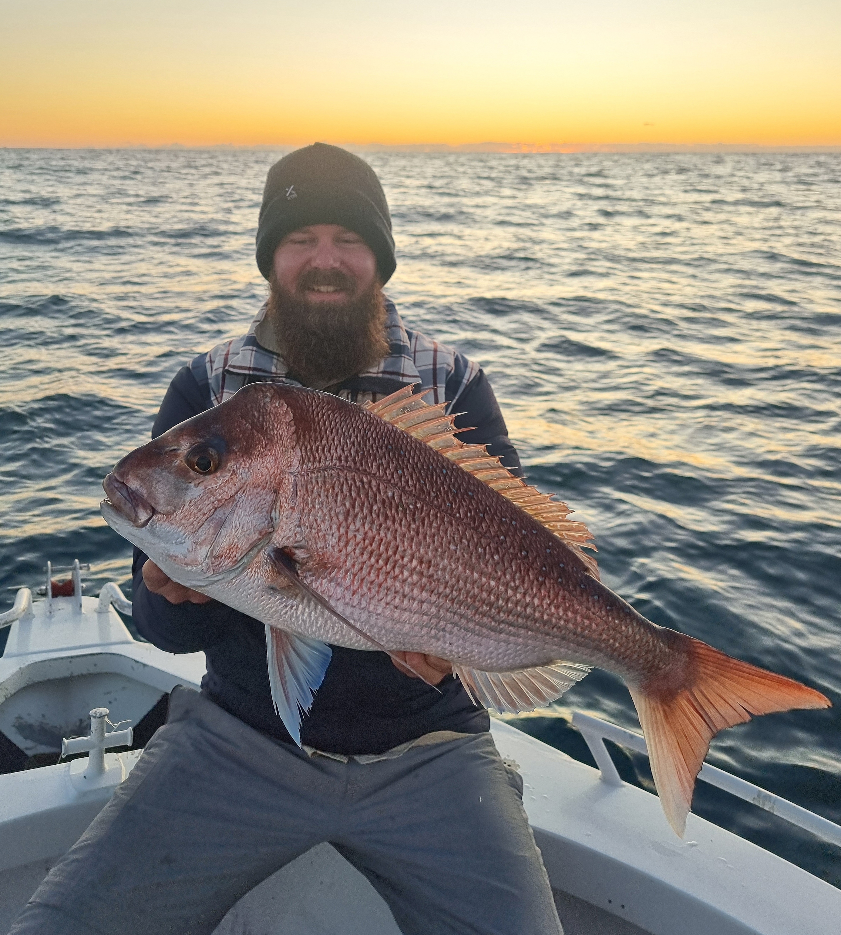 Andrew's Snapper