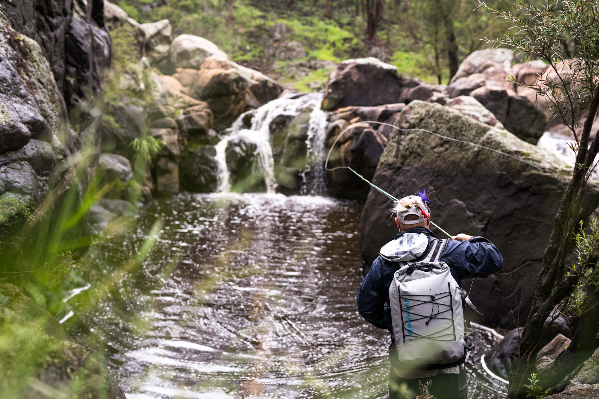 Fly Fishing for Trout