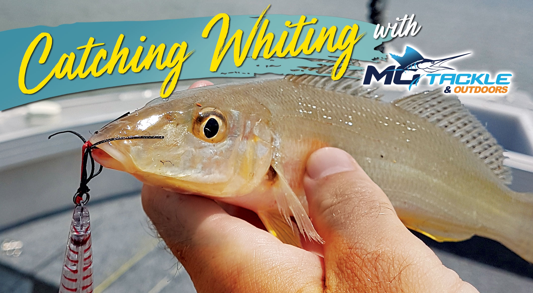 Chasing Sand Whiting With Motackle Chasing Sand Whiting With Motackle