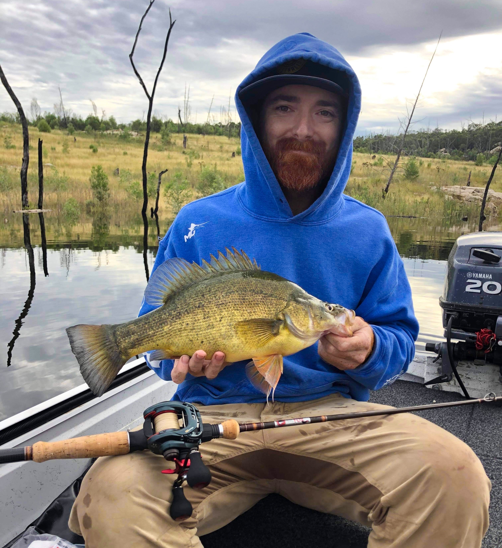 Matty's Yellowbelly